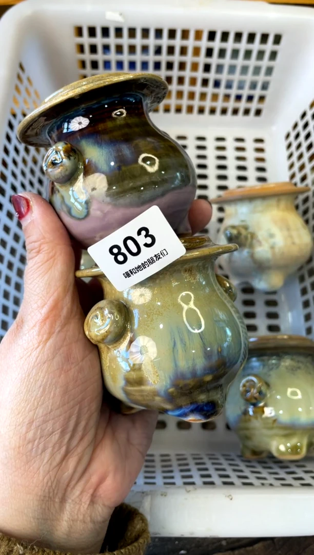 【闪购商品】陶803