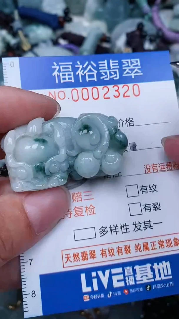 翡翠未镶嵌颈饰...0002320