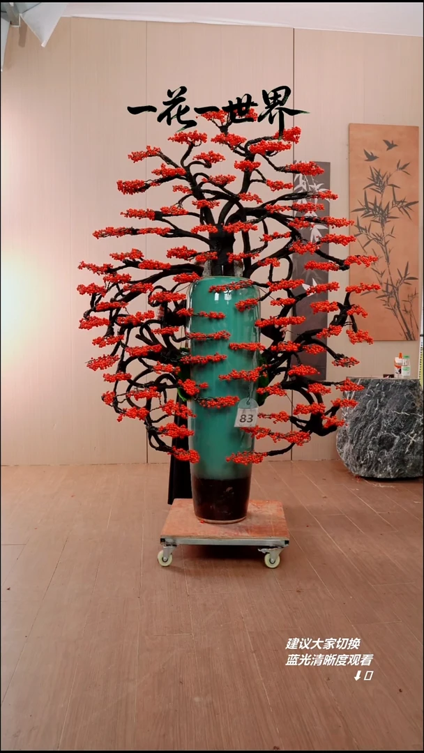 完全开放肖*学北美冬青83链接