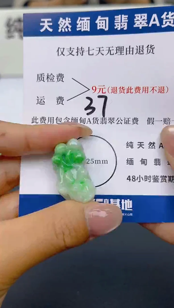 颈饰未镶嵌翡翠纯天然缅甸翡翠A货