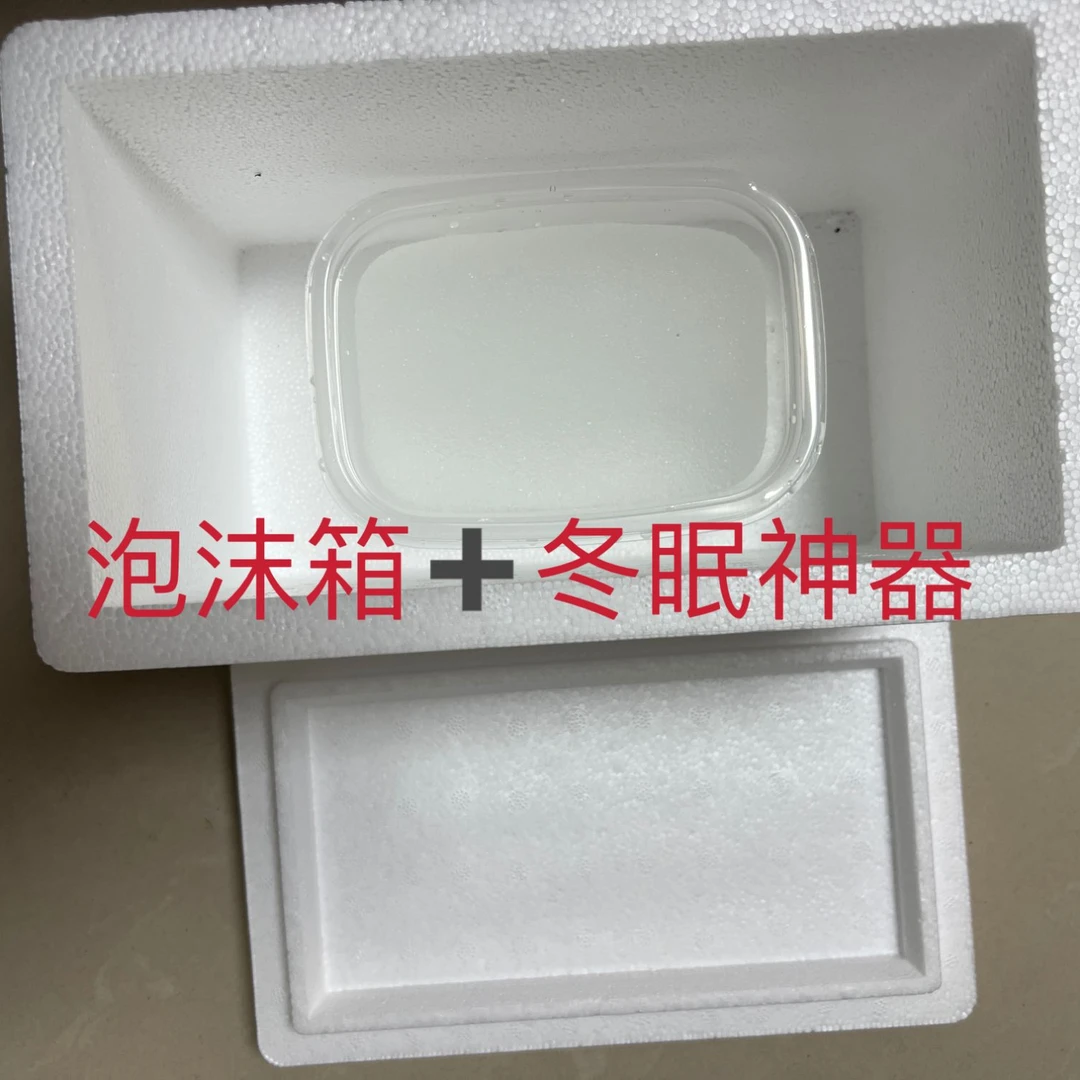 拍了乌龟后单独拍加热包的连接若路上运输死亡加热包不退乌龟退