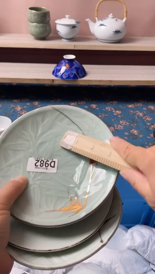 热*?瓷器瓷器D982