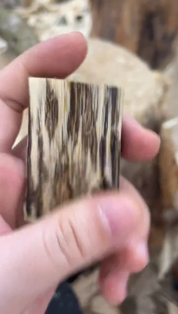 沉香沉香碎屑与**争棋楠沉香 原料文创1