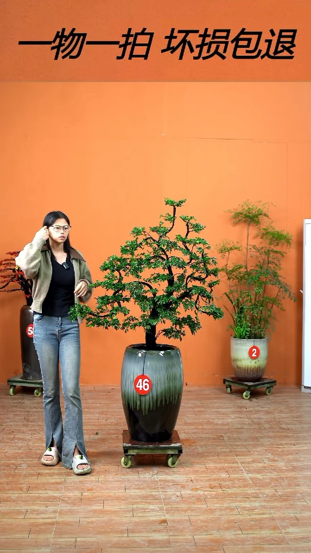 以实际为准S****d广东小叶紫檀