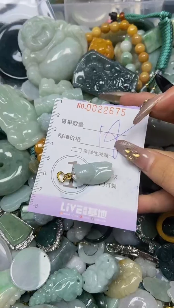 【闪购商品】翡翠颈饰未镶嵌闪购0022675