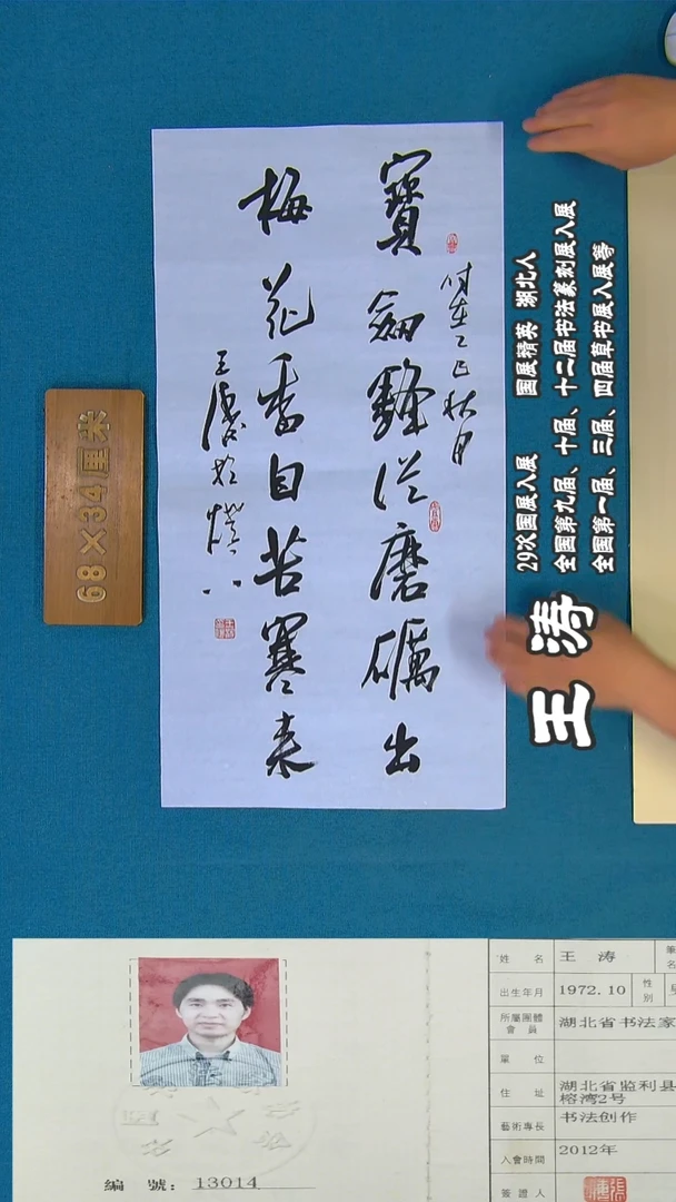 书法37a王涛书法作品