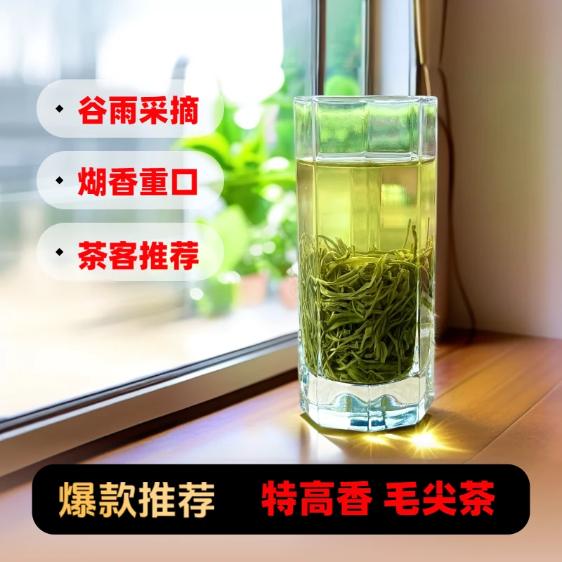 高山炒茶焦香型特级贵州高火香茶手工毛尖茶高山云雾绿茶新茶茶叶