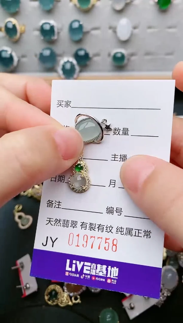 翡翠银S925镶嵌颈饰...