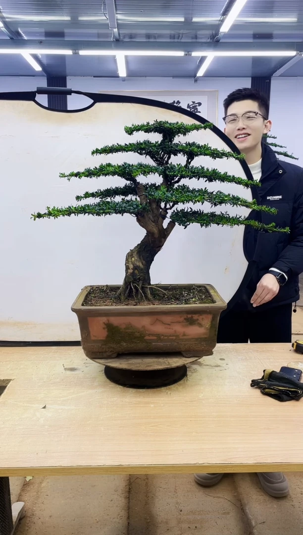 无花朵厚**记0000000000000