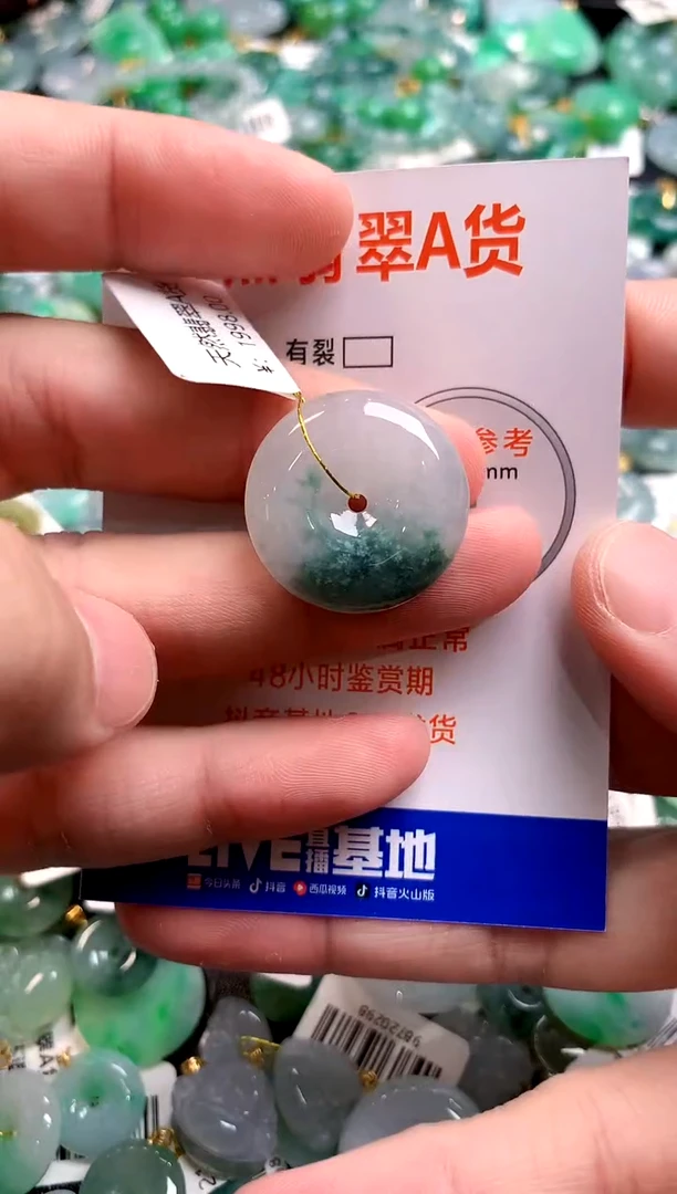 颈饰未镶嵌翡翠1070188991