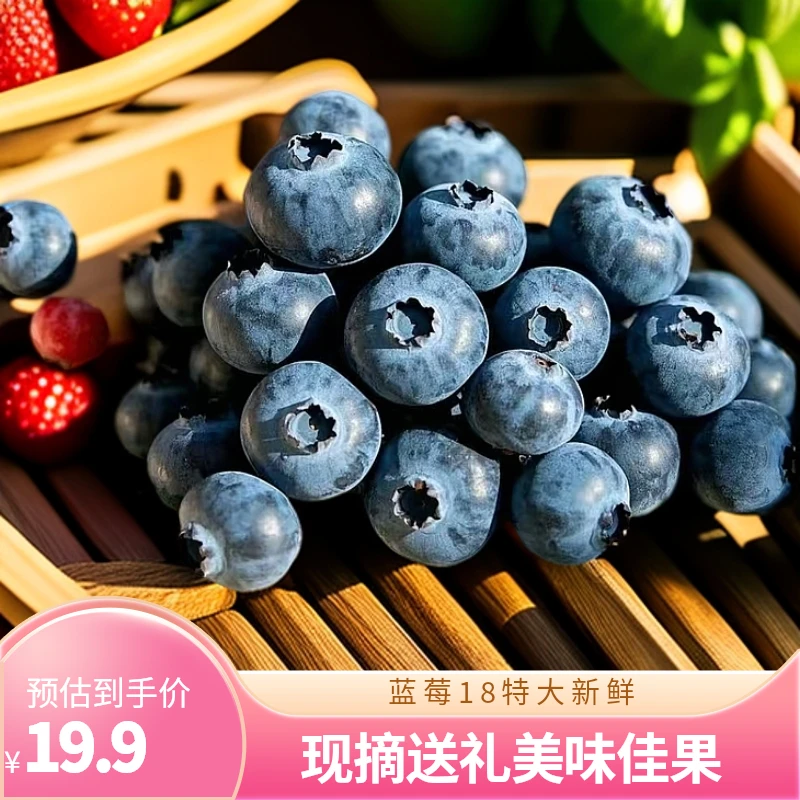 好蓝莓新鲜现摘18-22大果