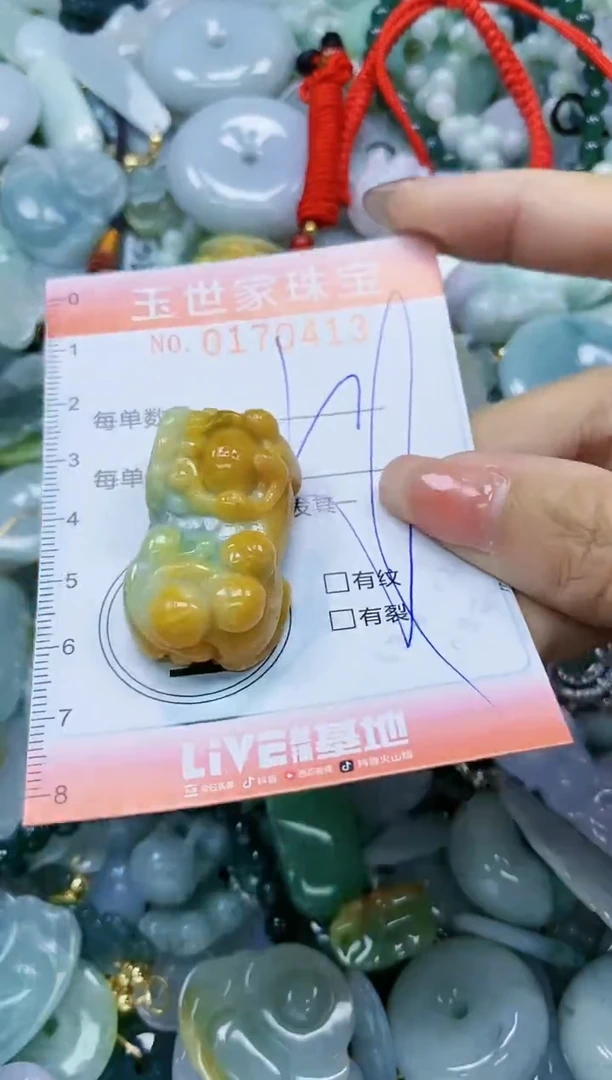 【闪购商品】翡翠颈饰未镶嵌闪购0170413