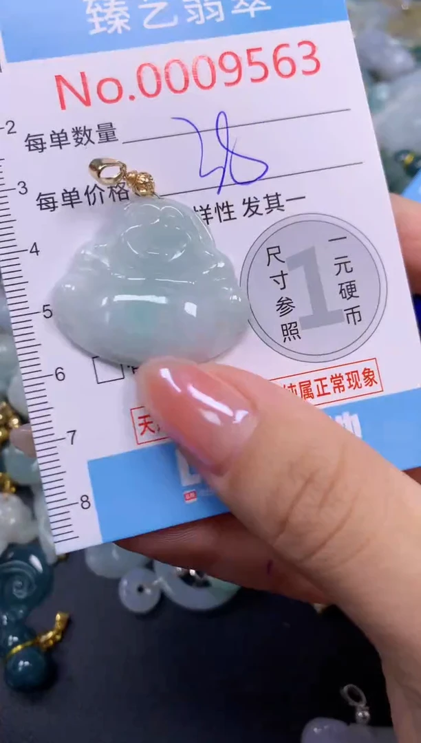 颈饰未镶嵌翡翠9563