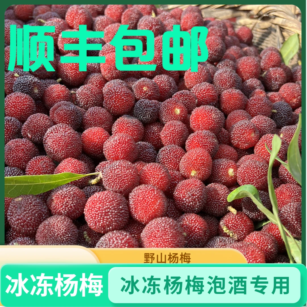 【顺丰】冰冻贵州杨梅水果青红酸现摘泡酒专用天1斤小新鲜山鲜果酸