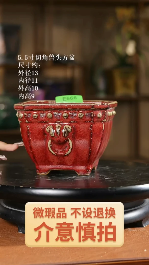 5.5寸切角兽头方盆  666