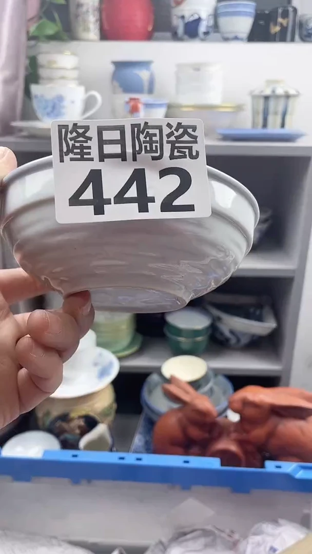 【闪购商品】瓷片442longritaoci