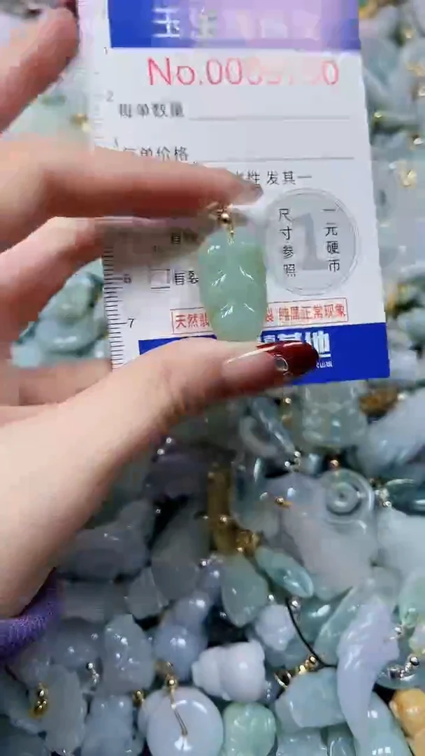 【闪购商品】翡翠颈饰未镶嵌闪购00005790