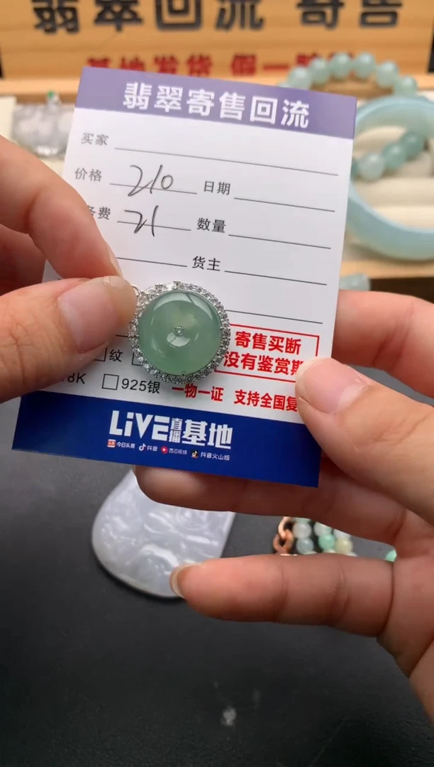 翡翠银S925镶嵌颈饰10138000