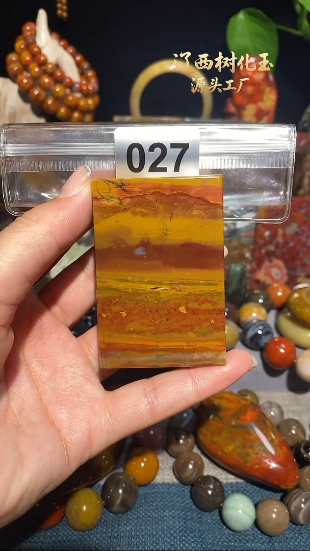 未镶嵌-硅化玉天然北票硅化玉吊坠