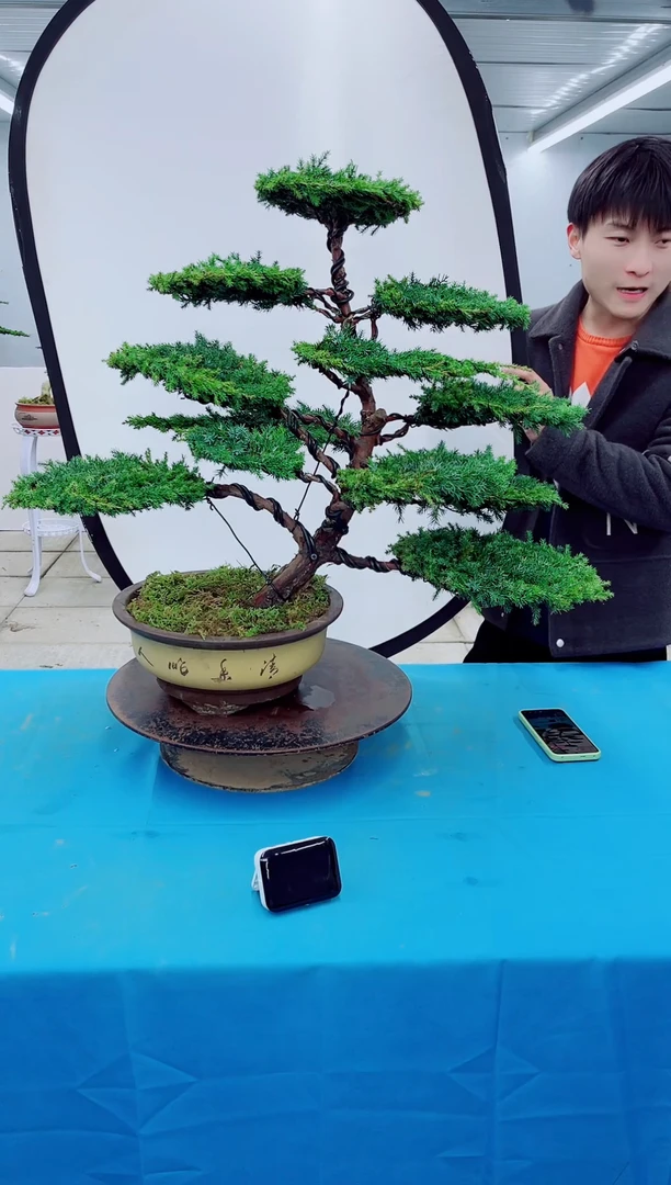 无花朵0000000000000000