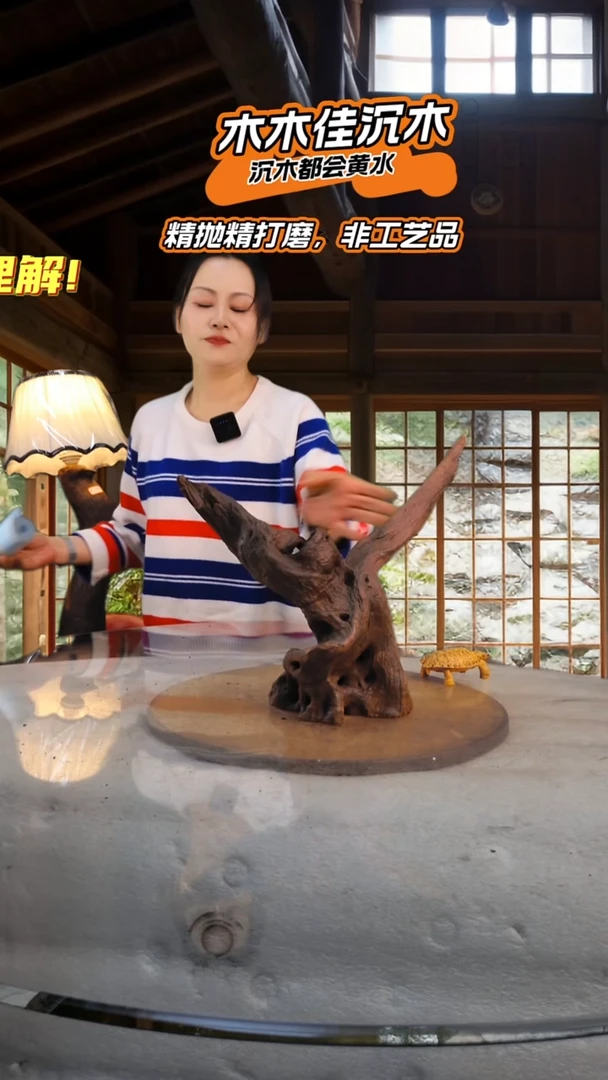 阿*木木佳沉木鱼缸造景-305