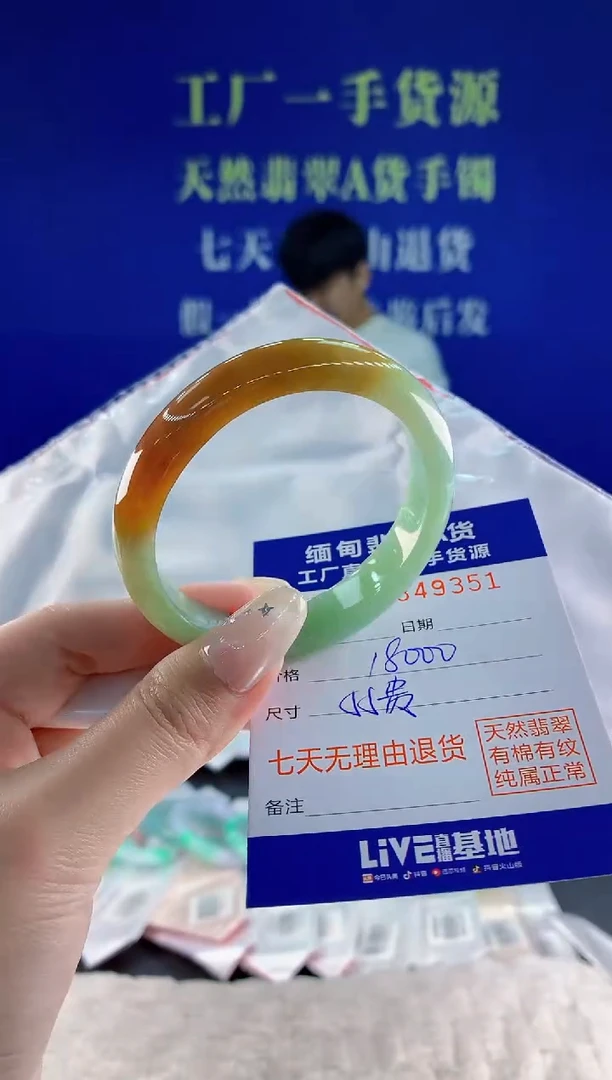 未镶嵌手镯翡翠51