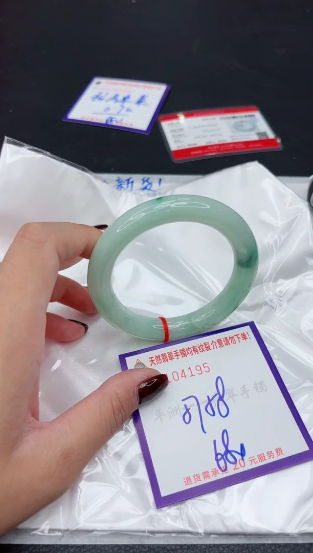 未镶嵌手镯翡翠1