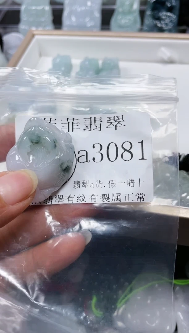 【闪购商品】翡翠颈饰未镶嵌闪购3081