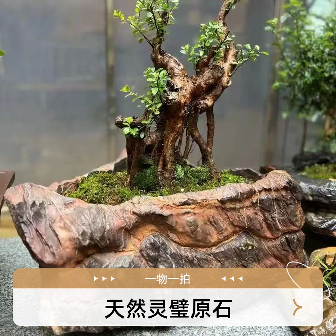 天然矿标  矿晶摆件  一物一拍