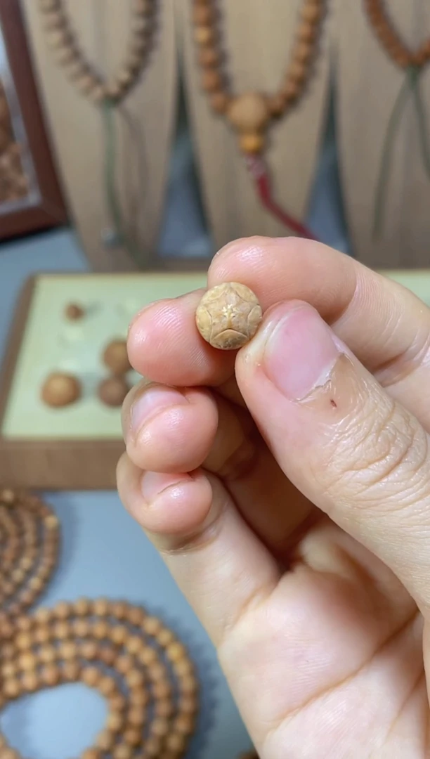 吊坠凤眼菩提迷你五星