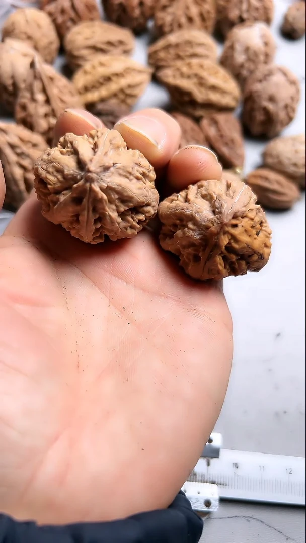 核桃东北野生大秋子2