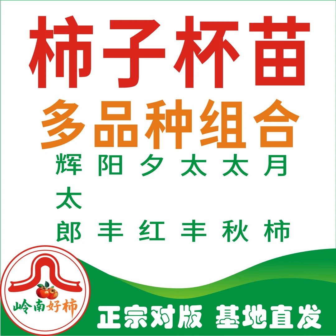 岭南太秋辉太郎月柿太丰夕红阳丰甜柿杯苗 全家福组合（不包成活）