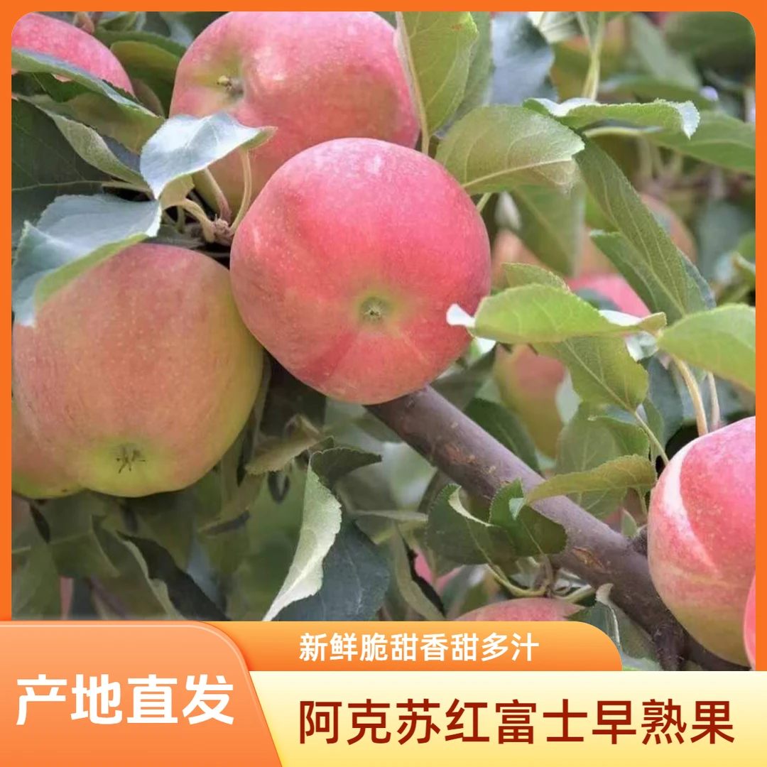 阿克苏红富士早熟苹果产地直发应季水果红旗坡产区顺丰包邮