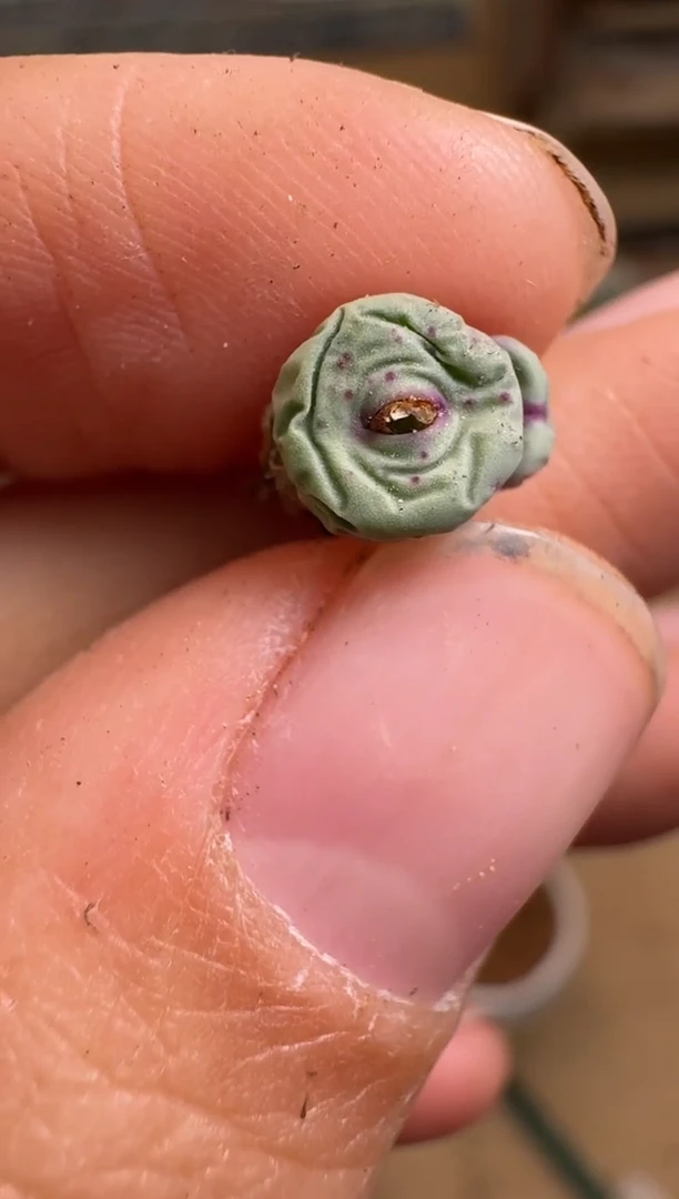 【闪购商品】1-20-86