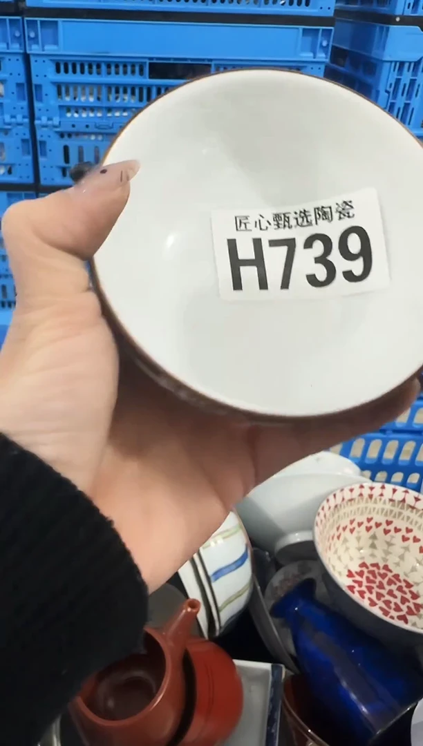 瓷片青*         H739