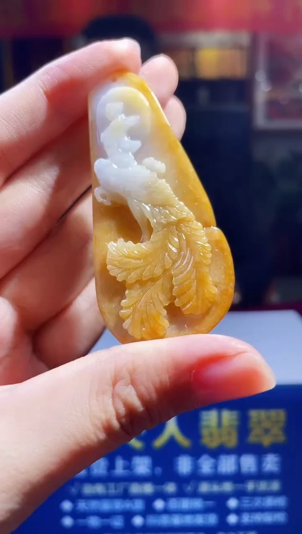 【闪购商品】翡翠颈饰未镶嵌M-@@DSGA030506