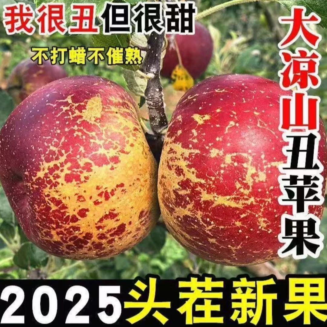 四川大凉山盐源丑苹果新鲜采摘脆甜爽口