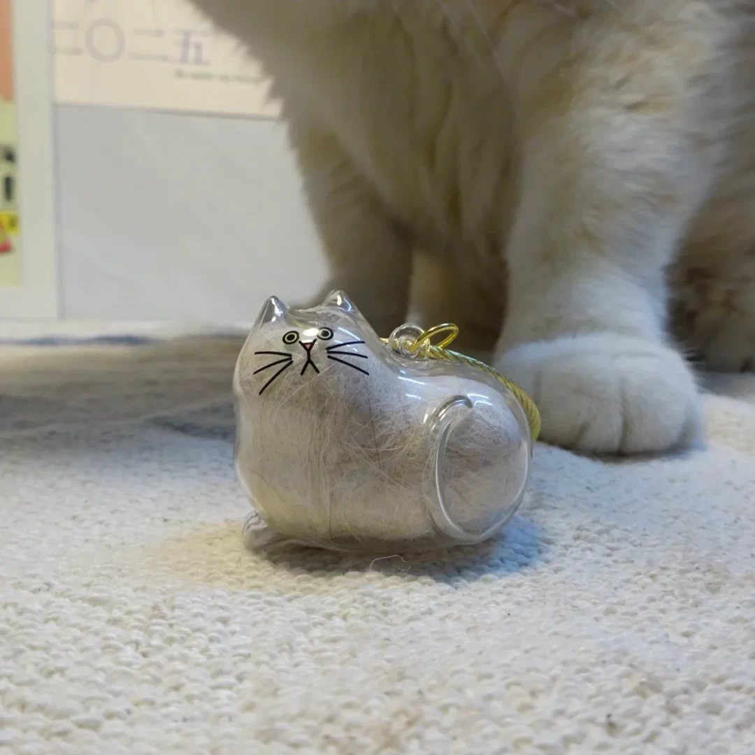 日本BRIGH TLINK透明猫毛存放收纳盒挂件小猫纪念扭蛋宠物储物罐