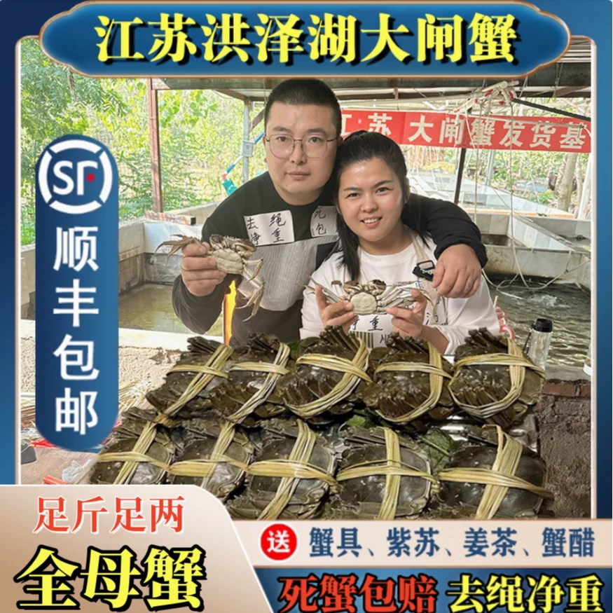 【金标活蟹】全母蟹10只装（1.7-2.0两）洪泽湖螃蟹礼盒顺丰包邮