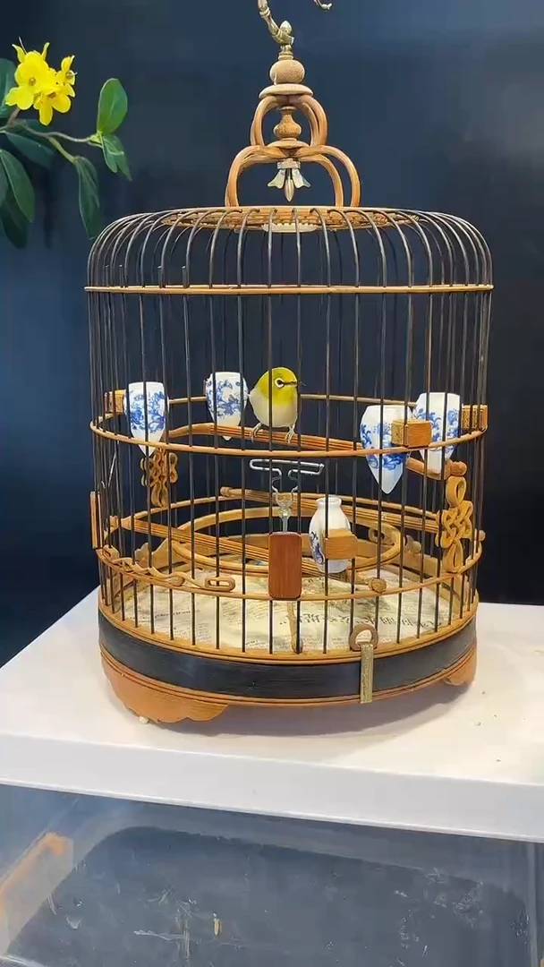 16号   绣眼养笼0元起拍