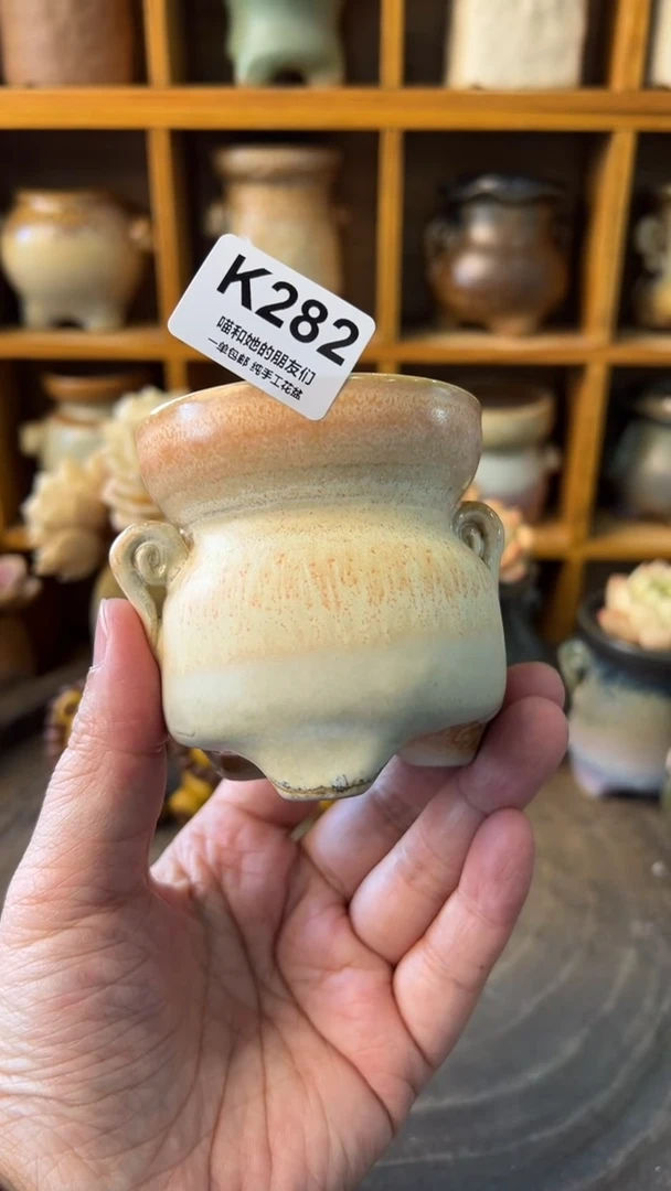 282 内口6【多肉花盆多肉盆】