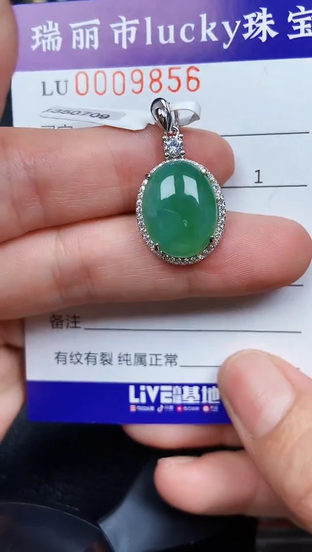 翡翠银S925镶嵌颈饰9856
