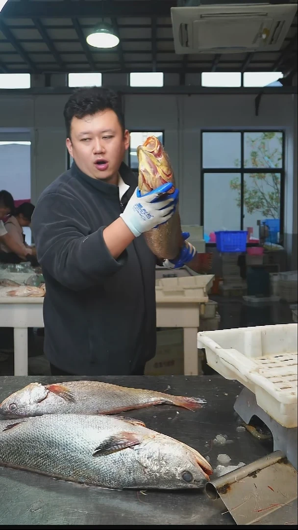 罗老板野生黄米鱼