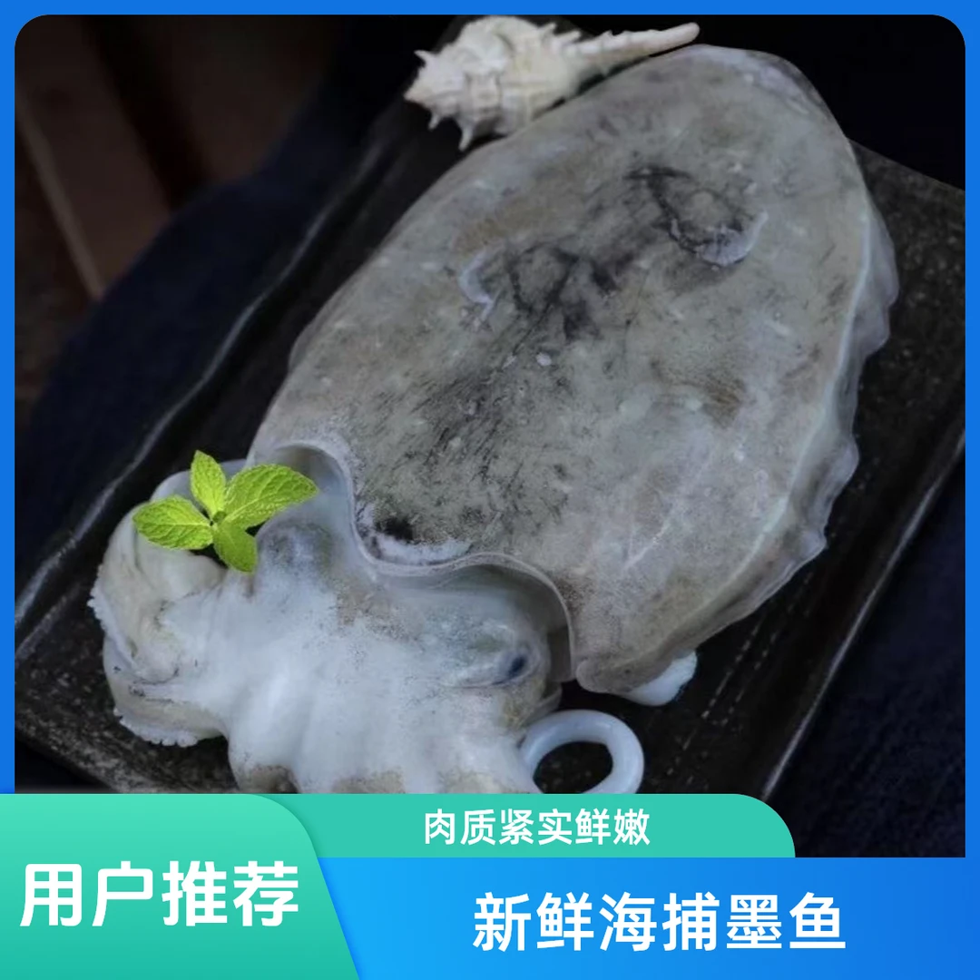 东海热气墨鱼 到手净重4斤 冰鲜发货 顺丰包邮墨鱼