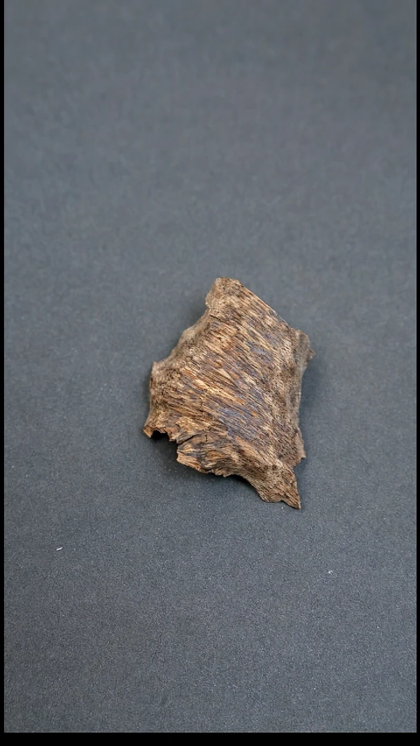 沉香沉香碎屑柬埔寨品香料