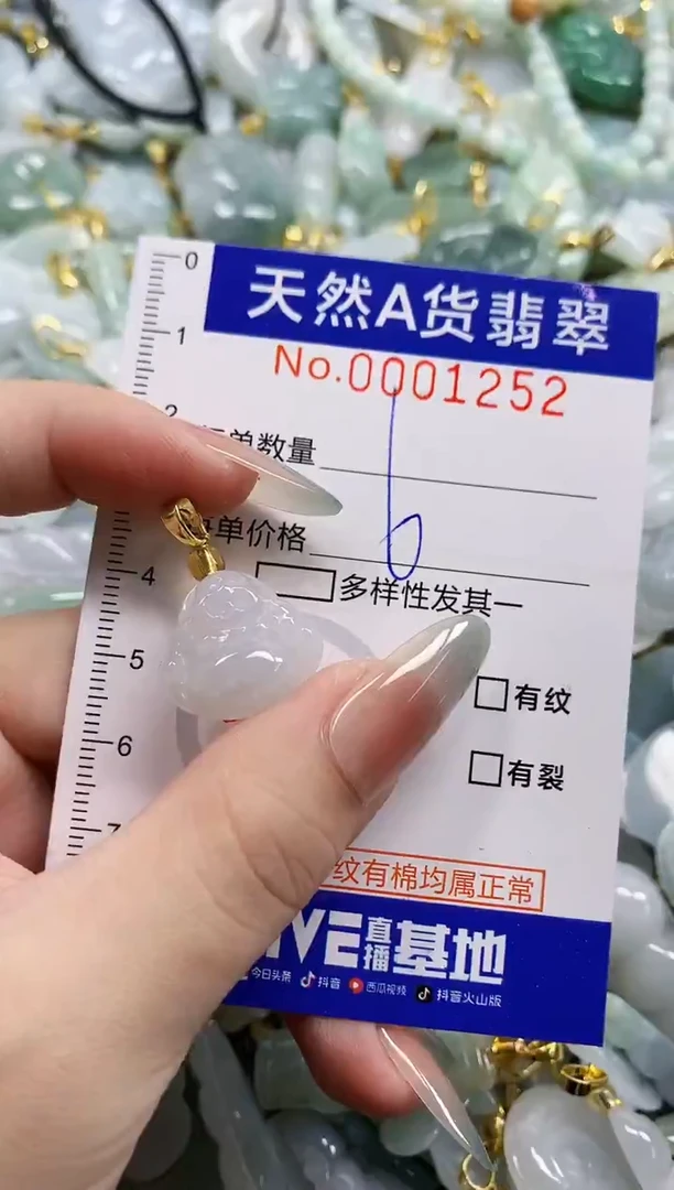 颈饰未镶嵌翡翠天然A货翡翠