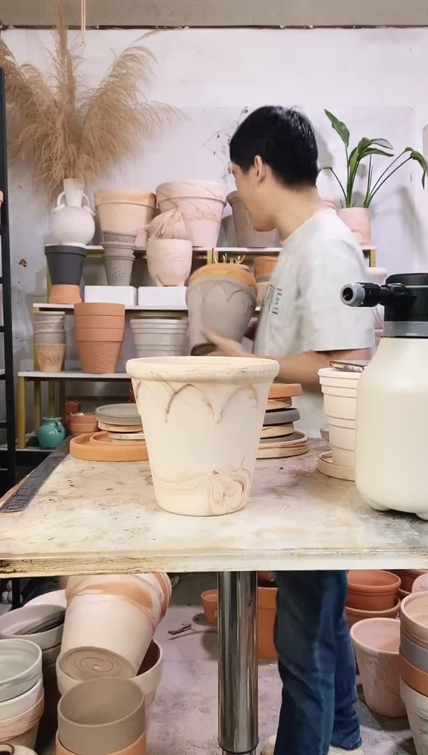 18*17玛奇朵皇冠 1盆无托