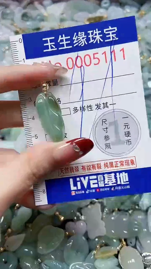 【闪购商品】翡翠颈饰未镶嵌闪购00005111