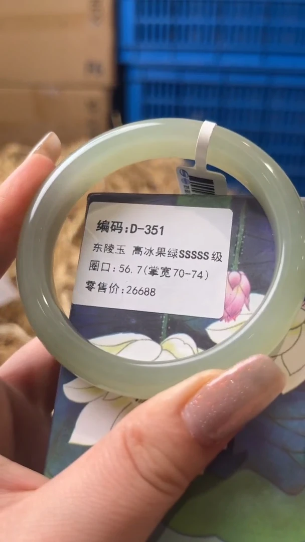 未镶嵌手镯石英质玉D-351