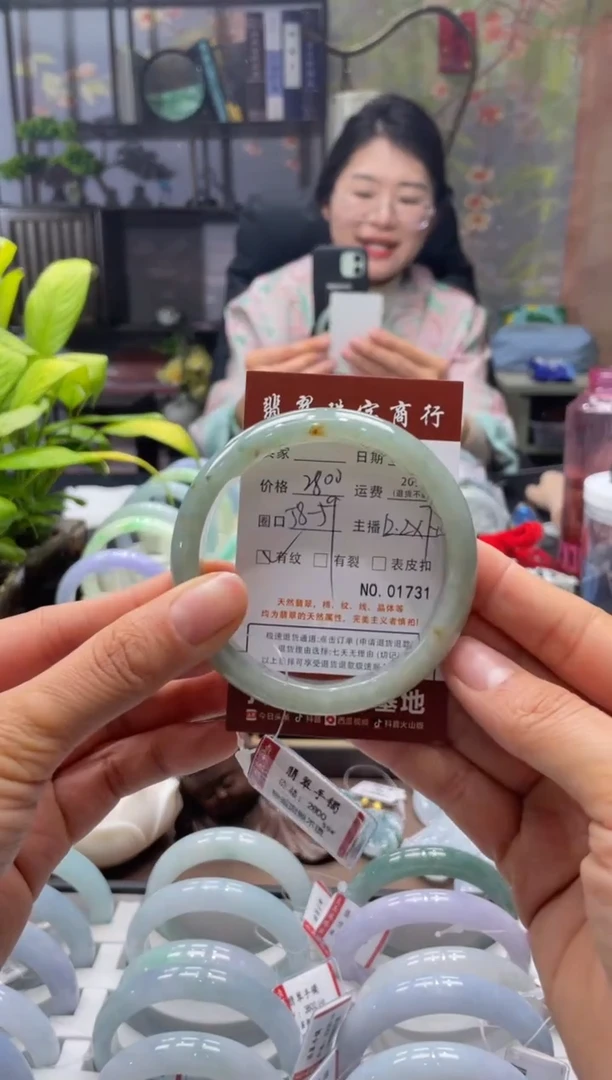 未镶嵌手镯翡翠1731*****